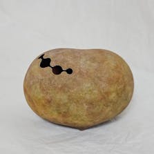 Ichirin